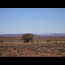 Berge der Flinders Ranges